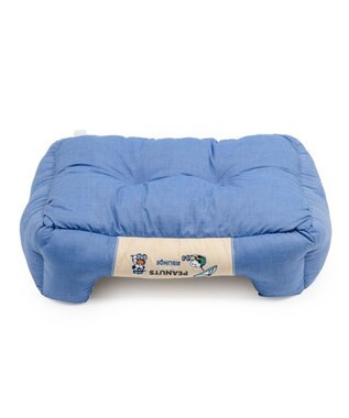 PET PARADISE スヌーピー クール 四角カドラー 《サマーバケーション柄》 Ｍ ホワイト×ブルー