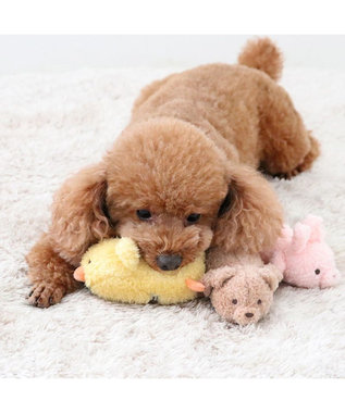 PET PARADISE  ペットパラダイス ふわふわ トイ《くま》 くま