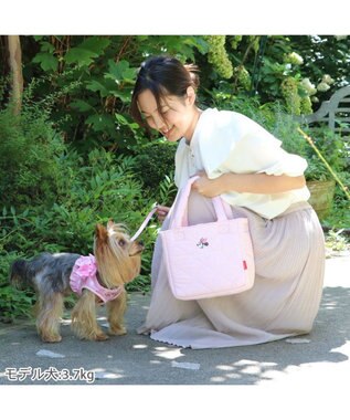 PET PARADISE ディズニー ミニーマウス 撥水 お散歩バッグ ピンク（淡）