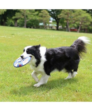 PET PARADISE スヌーピー 水に浮く フライングディスク -