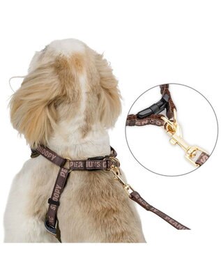 PET PARADISE スヌーピー ハーネス＆リード 《ワッペン柄》 ４Ｓ 小型犬 ネイビー