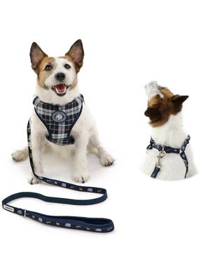 PET PARADISE J.PRESS ビエラチェック ハーネス リード【SS】小型犬 マルチカラー
