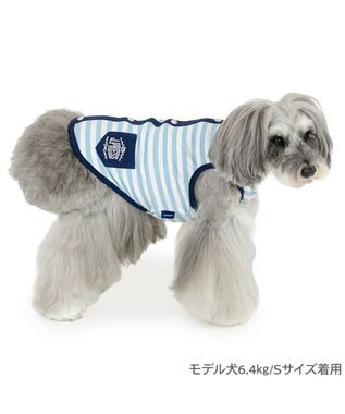 PET PARADISE J.PRESS 接触冷感 ボーダー タンクトップ 小型犬 ホワイト×ブルー