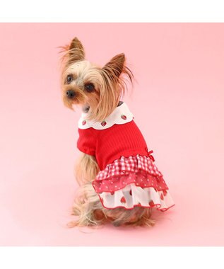 PET PARADISE ペットパラダイス 苺刺繍 ワンピース  スカラップカラー 《レッド》 小型犬 レッド