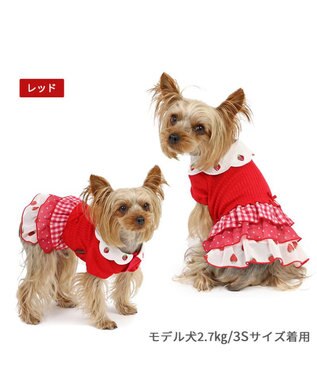 ペットパラダイス ハーネス＆リード スカラップカラー《いちご柄