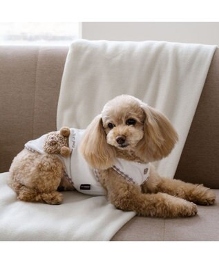 PET PARADISE ペットパラダイス サーモキープ タンクトップ 《ポンポンくまちゃん》 超小型犬 小型犬 オフホワイト