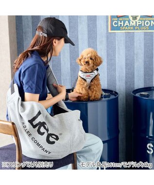 PET PARADISE Lee スリングバッグ Ｍ 小型犬 グレー