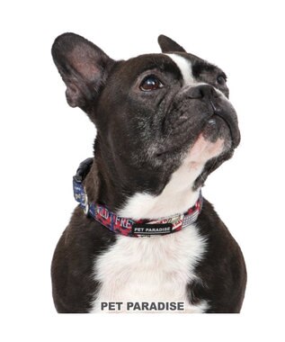 犬 首輪 sm ペットパラダイス ロゴ Pet Paradise 通販 雑貨とペット用品の通販サイト マザーガーデン ペットパラダイス 犬 首輪 sm ペットパラダイス ロゴ Pet Paradise 通販 雑貨とペット用品の通販サイト マザーガーデン ペットパラダイス