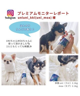 PET PARADISE 犬 スキンケア ミスト ミネラルミューズ 200mL -