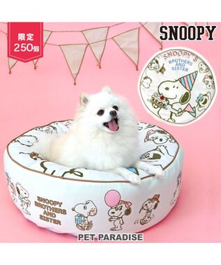 限定250個】スヌーピー 限定 バースデー クッション / PET