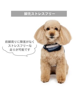 PET PARADISE Lee フード付ハーネス 《ヒッコリー》 ３Ｓ ネイビー×ホワイト