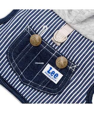 PET PARADISE Lee フード付ハーネス 《ヒッコリー》 ３Ｓ ネイビー×ホワイト