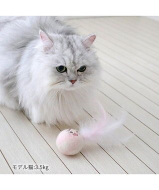 PET PARADISE ディズニー マリー 羊毛ボール 2個セット -