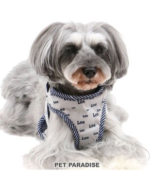 犬 ハーネス ｌｅｅ ｓ 総柄ロゴ 小型犬 おさんぽ おでかけ お出掛け おしゃれ オシャレ かわいい Pet Paradise 通販 雑貨とペット用品の通販サイト マザーガーデン ペットパラダイス