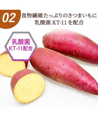 PET PARADISE デンタルガム さつまいも 100g 国産 -