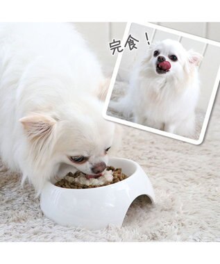 PET PARADISE リアルフード パウチスープ チキン＆ブロッコリー 50g×3パック 国産 -