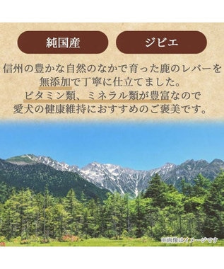 PET PARADISE 信州 鹿レバージャーキー 40g 国産 -