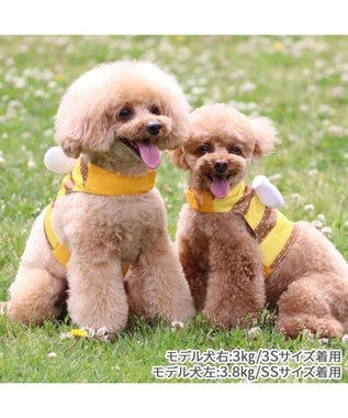 PET PARADISE ペットパラダイス  はちクールベスト 小型犬 -