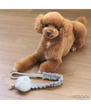 PET PARADISE ペットパラダイス 引っ張り トイ 《雲/星》 雲