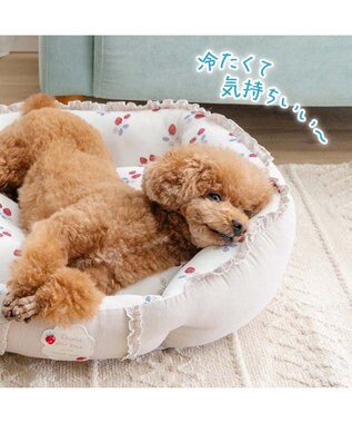 PET PARADISE ペットパラダイス クールカドラー 丸型 《苺花柄》 Ｍ ホワイト×レッド