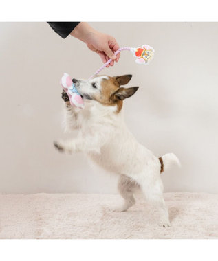 PET PARADISE ディズニー ダンボ &ティモシー  ロープトイ その他