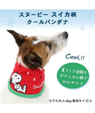 PET PARADISE スヌーピー スイカ柄 クールネック バンダナ 《保冷剤付き》【小型犬】 赤