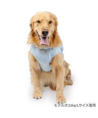 PET PARADISE ペットパラダイス 花刺繍 ベスト ハーネス Ｍ 大型犬 ライトブルー
