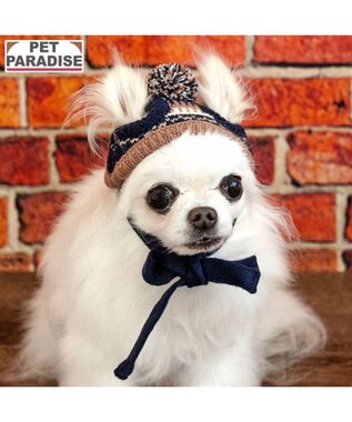 PET PARADISE ペットパラダイス ボンボン付き 男の子 ニット帽子 小型犬 ４Ｓ～３Ｓ/ＳＳ～Ｓ