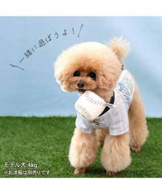 PET PARADISE スヌーピー タブ付 野球ボール  トイ ホワイト