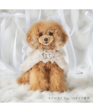 PET PARADISE cherircouture ドットリボン ポンチョ 《ホワイト》 小型犬 ピンクベージュ