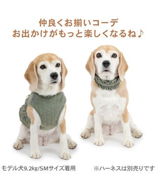 PET PARADISE ペットパラダイス ペタルオリーブ首輪 ＳＭ カーキ