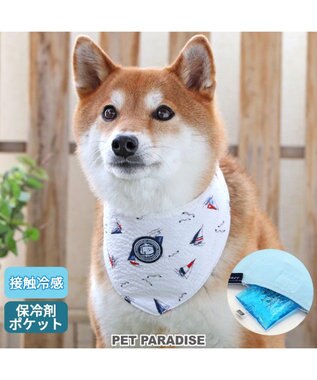 犬王　JJ J.PRESS カレッジ Tシャツ 小型犬 / PET PARADISE | 【通販