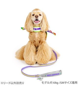 PET PARADISE ディズニー トイ・ストーリー バズ リード ＳＭ パープル
