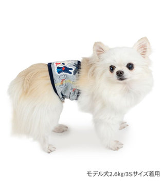 PET PARADISE リサとガスパール マナーベルト 総柄 小型犬 グレー