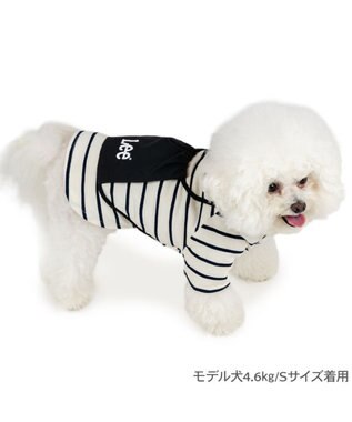 PET PARADISE Lee ナップサック付き Ｔシャツ 小型犬 ホワイト×ブラック