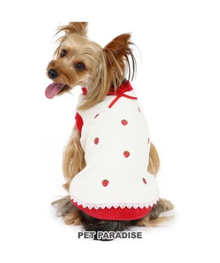 犬 服 秋服 フリース トレーナー 小型犬 ワンダフルストレッチ 苺 犬服 犬の服 犬 服 ペットウエア ペットウェア ドッグウエア ドッグウェア キャラクター Pet Paradise 通販 雑貨とペット用品の通販サイト マザーガーデン ペットパラダイス 犬 服 秋服 フリース トレーナー 小型犬 ワンダフルストレッチ 苺 犬服 犬の服 犬 服 ペットウエア ペットウェア ドッグウエア ドッグウェア キャラクター Pet Paradise 通販 雑貨とペット用品の通販サイト マザーガーデン ペットパラダイス