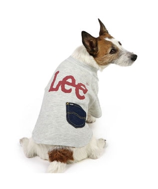PET PARADISE Lee ワッフル Tシャツ 小型犬 グレー