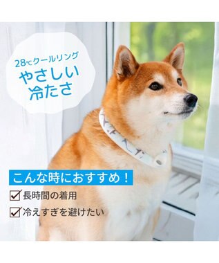 PET PARADISE ペットパラダイス ２８℃ クールリング ＳＭ 《サメ柄》 ブルー