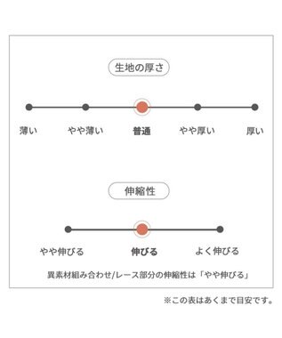 PET PARADISE ペットパラダイス レースワンピース 小型犬 ホワイト