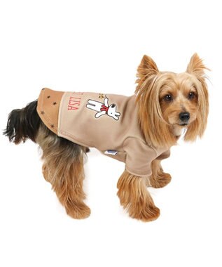 PET PARADISE リサとガスパール ペティヒートDAN Tシャツ 《星柄》 小型犬 ベージュ