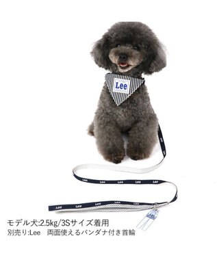 PET PARADISE Ｌｅｅ反射 チャーム付きリード 紺【４Ｓ～３Ｓ】 紺（ネイビー・インディゴ）