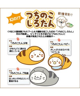新品　しろたん　つちのこたん ららぽーと立川立飛店限定 ゆきのこたん つちのこ しろたん マスコット 《少年 / ベビー / ご先祖》 単品