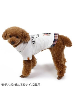 PET PARADISE リサとガスパール シンプル刺繍 Ｔシャツ 《であい柄》 小型犬 であい柄