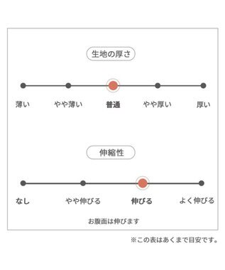 PET PARADISE リサとガスパール シンプル刺繍 Ｔシャツ 《であい柄》 小型犬 であい柄