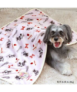 PET PARADISE ディズニー ミニー ケーキ ブランケット 90×60cm ピンク