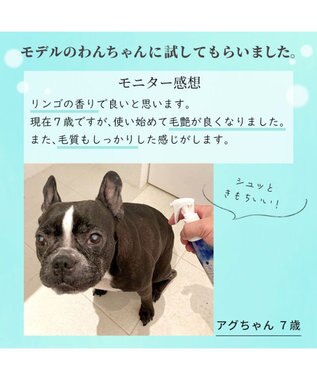 PET PARADISE 犬 スキンケア ミスト ミネラルミューズ 200mL -