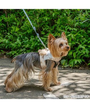 PET PARADISE ペットパラダイス くまちゃん クールベスト 小型犬 ホワイト×ブラウン