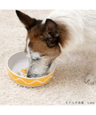 PET PARADISE スヌーピー 75周年 メラミンえさ皿 黄