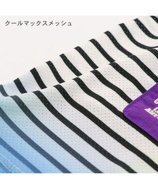 PET PARADISE 犬の服 夏 ひんやり クール メッシュ 接触冷感 虫よけ  グラデーション タンクトップ 【中型犬】【大型犬】クールマックスエコメイド 青