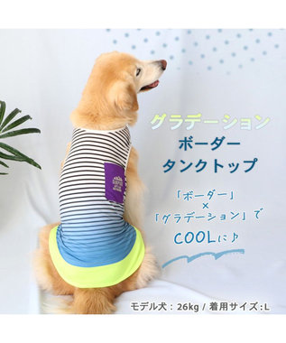 PET PARADISE 犬の服 夏 ひんやり クール メッシュ 接触冷感 虫よけ  グラデーション タンクトップ 【中型犬】【大型犬】クールマックスエコメイド 青